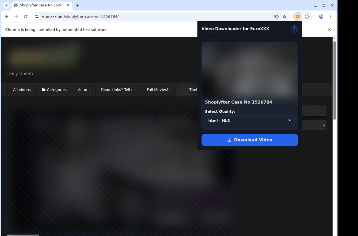 Euroxxx Video Downloader screenshot 3